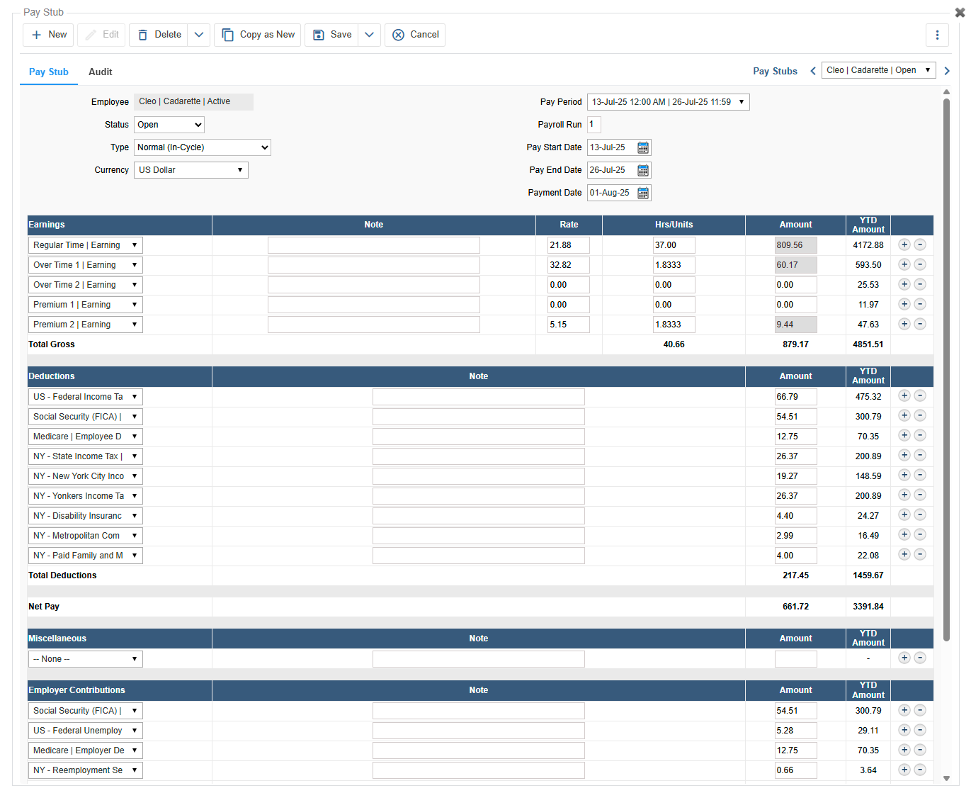 Employee Pay Stub Detail View
